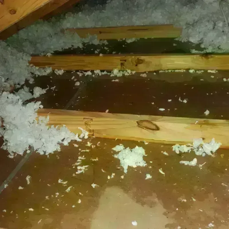 Attic Water Damage in Yeagertown, PA